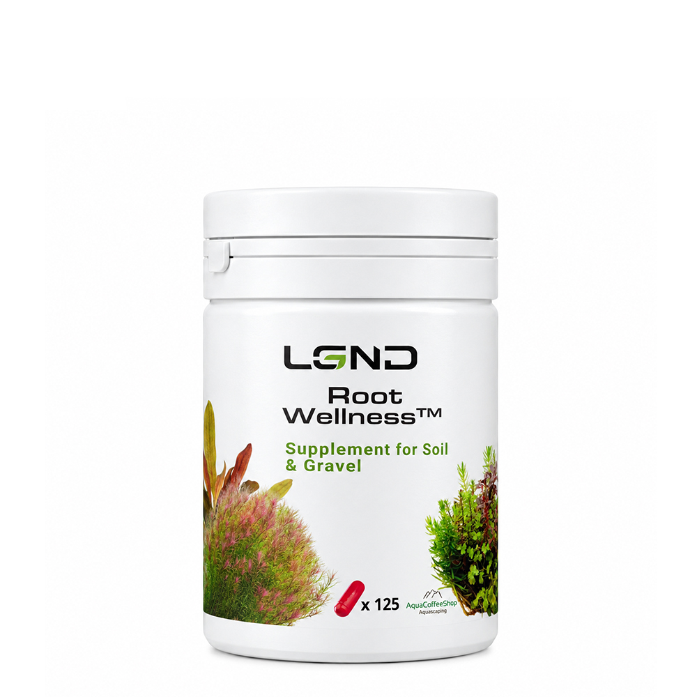 LGND Root Wellness