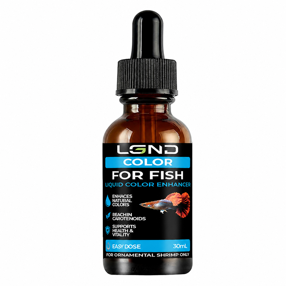 LGND Color Fish